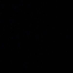 Meet your Posher, Dillon